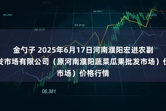 金勺子 2025年6月17日河南濮阳宏进农副产品批发市场有限公司（原河南濮阳蔬菜瓜果批发市场）价格行情
