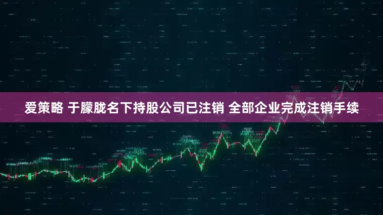爱策略 于朦胧名下持股公司已注销 全部企业完成注销手续