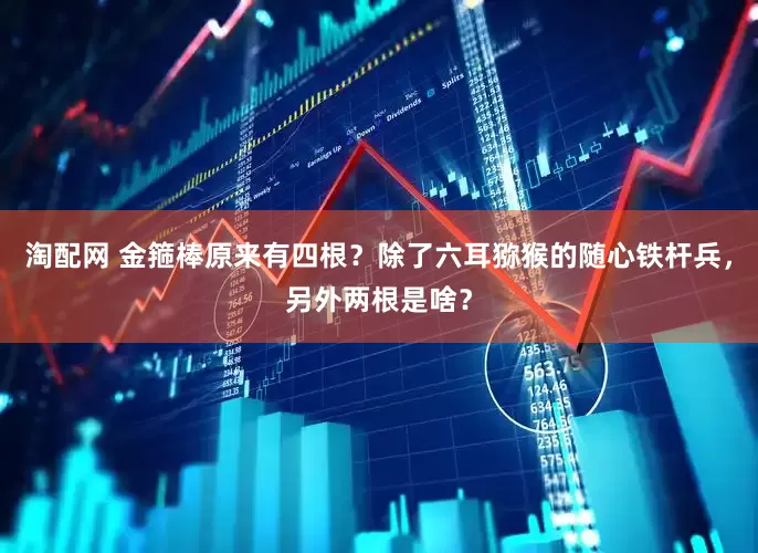 淘配网 金箍棒原来有四根？除了六耳猕猴的随心铁杆兵，另外两根是啥？