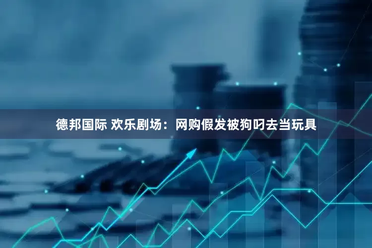 德邦国际 欢乐剧场：网购假发被狗叼去当玩具